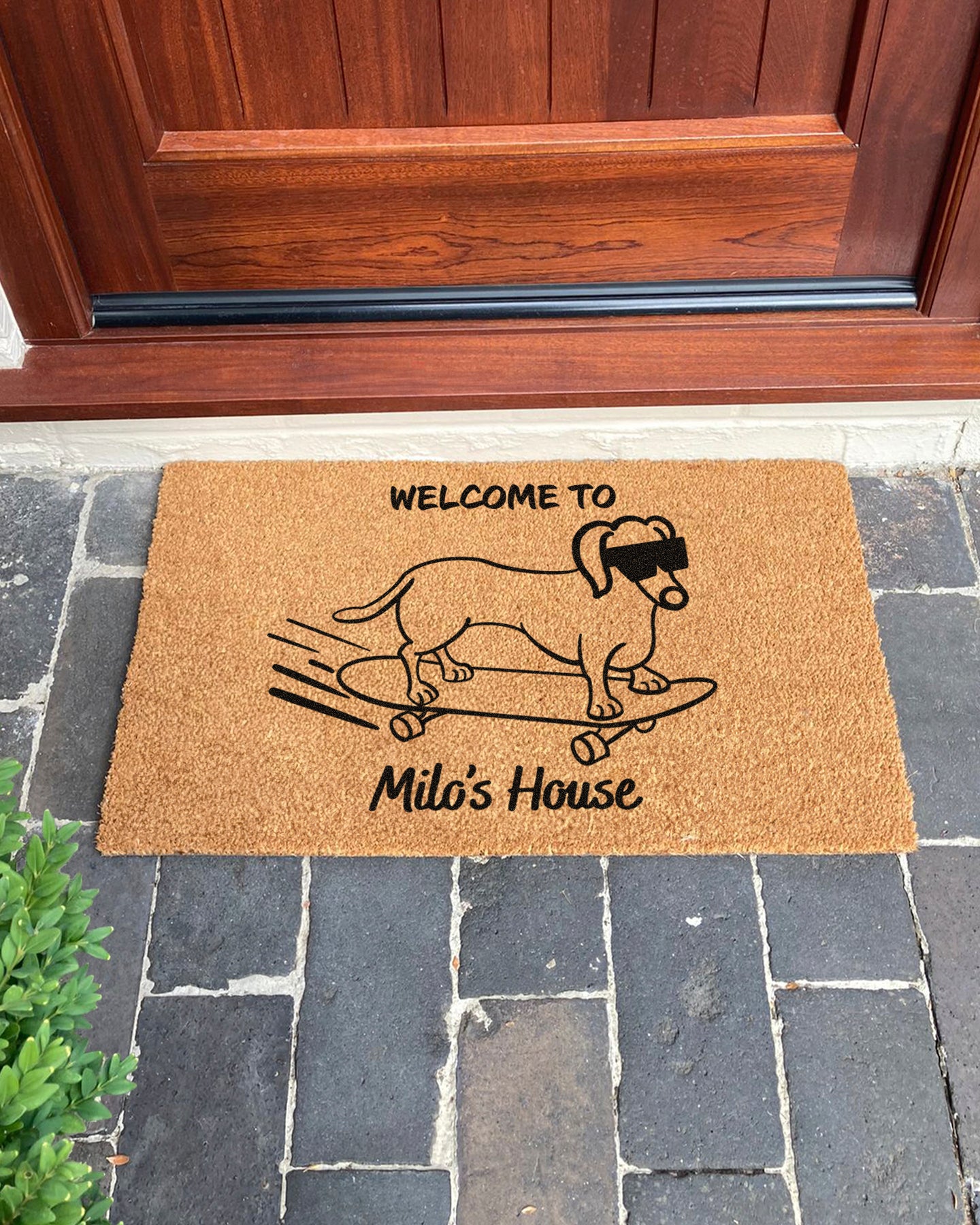 Dachshund Custom Dog Doormat | Dachshund, Sausage Dog, Wiener, Doxie | Dog Lover Gift (Copy)