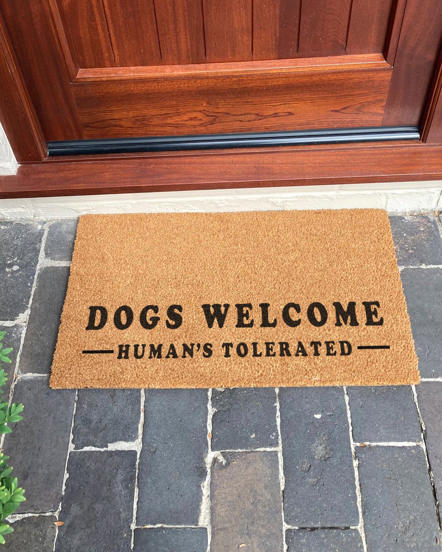 Dogs Welcome, Human's Tolerated Doormat