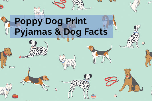 Poppy Dog Print Pyjamas & Facts About The Dogs Featured