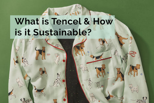 What is Tencel & How is it sustainable? | Tessie Clothing Poppy Dog Print Pyjama set photo which is made from digitally printed Tencel.