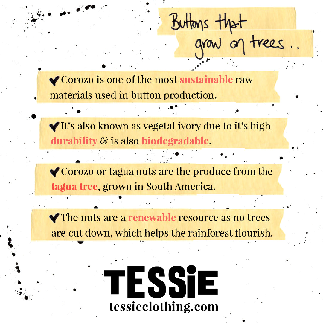 Buttons that grow on trees. Corozo is a sustainable raw material in button production. It's known as vegetal ivory and is biodegradable. Corozo comes from the tagua tree. The tagua nuts are a renewable resource.